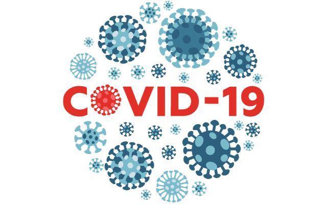 Ayurvedic Remedies For The Treatment Of COVID 19