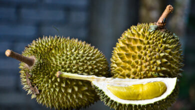 Most Expensive Durian Fruit