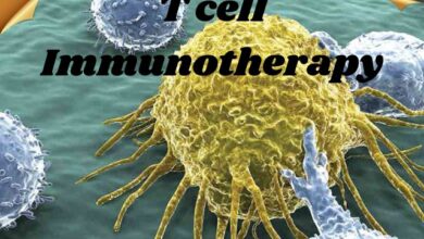 T cell Immunotherapy