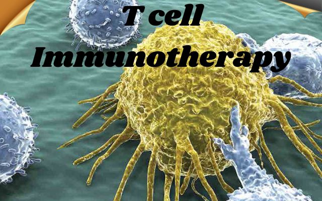 T cell Immunotherapy
