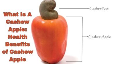 What Is A Cashew Apple