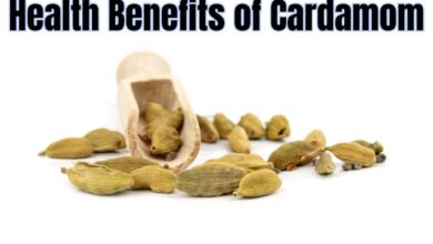 Health Benefits of Cardamom
